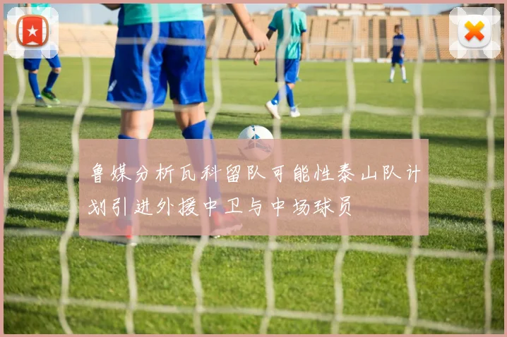 鲁媒分析瓦科留队可能性泰山队计划引进外援中卫与中场球员