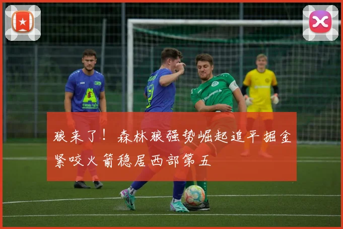 狼来了！森林狼强势崛起追平掘金紧咬火箭稳居西部第五