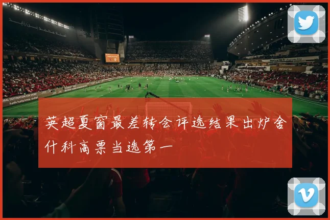 英超夏窗最差转会评选结果出炉舍什科高票当选第一