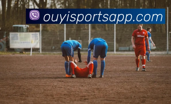 欧亿体育平台生态图